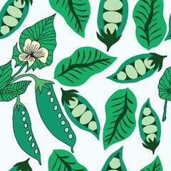 peas inside the pods with green leaves hand drawn seamless pattern. Green peas with green leaves and green peas pods with white flowers on white background seamless pattern.