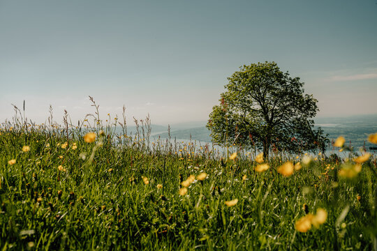 Aussicht ob Altendorf