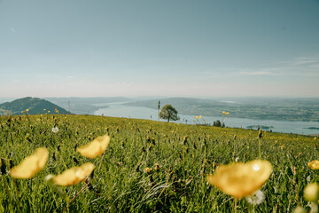 Aussicht Richtung Zürich