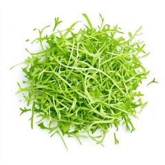 Fresh Arugula Pile on White Background, Salad , Greens