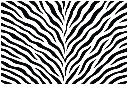 Striking zebra stripe pattern vector in black and white.