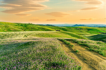 rustic road in spring meadow landscape with green grass, flowers, amazing hills and beautiful path leading to a village. Agricultural landscapw of europe.