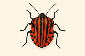 Italian striped-bug vector illustration, Graphosoma italicum. Red and black minstrel bug or shield bug. Isolated insect top view for entomology, zoology, and science concept.
