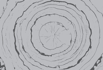 seamless wood texture, wood texture background, abstract wood texture