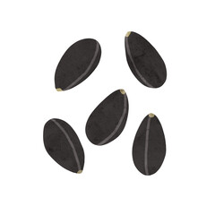 黒胡麻　水彩風手描きイラスト