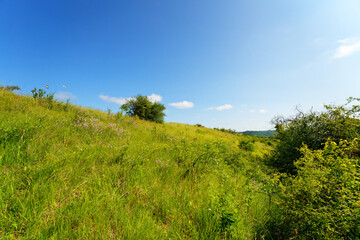 Fototapeta premium National Nature Reserve of the Seine Hillsides in Vexin Français Regional Nature Park