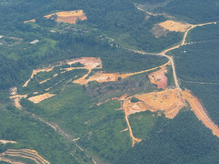 The situation of deforestry for palm oil locations in sumatera, riau, Indonesia with deforestation