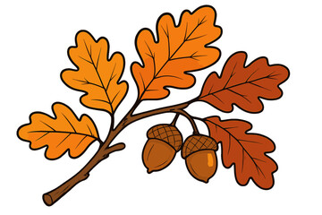 Oak branch with colorful autumn leaves and acorns vector illustration. Fall season foliage graphic element. Seasonal botanical drawing isolated on white. Nature and Thanksgiving concept.