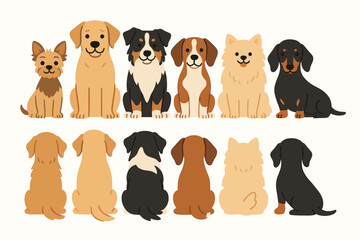 Cute dog collection vector illustration. Set of different dog breeds sitting, front and back view. Canine pets like retriever, terrier, dachshund, shepherd, pomeranian in a lineup.