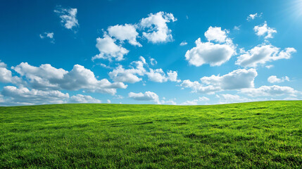 Obraz premium Fresh Green Grassland under Blue Sky with Clouds