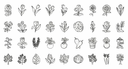 hand drawn alphabet