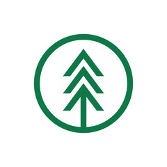 Decoration and celebration your holyday  with Pine tree.