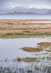 Grass and stone shore of Lake Karakul with blue water and mountain peaks in the background, cloudy weather and sky with clouds and clouds in the Pamirs, panoramic landscape