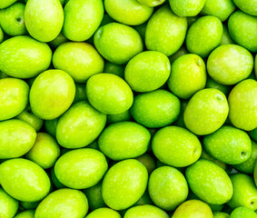 Food background of Fresh Harvested Green Olive for olive oil production pattern texture. Raw fruit for olive oil. Green backdrop of autumn season olive crop