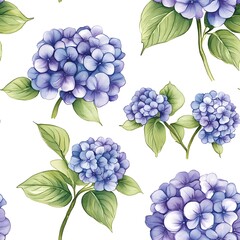 Hydrangea flower pattern on a white background.