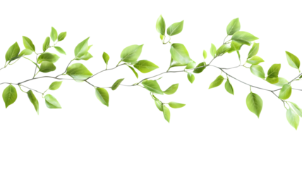 Fresh green leaves on a branch against abstract geometric background nature and botanical concept for decorative design