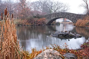 Gapstow Bridge in Central Park