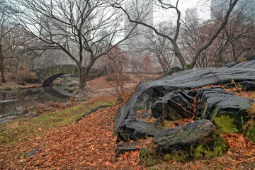 Gapstow Bridge in Central Park