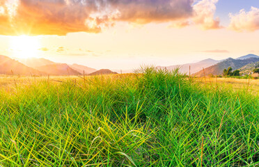 summer of spring landscape of green grass meadow with great beautiful mountains and awersome golden cloudy sunset