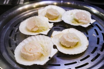close up of five steamed Scallops on shell with garlic and vermicelli on a steamer
