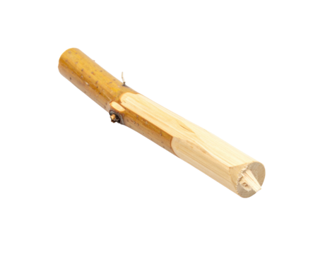 Partially Peeled Wooden Stick with Visible Bark and Chopped End