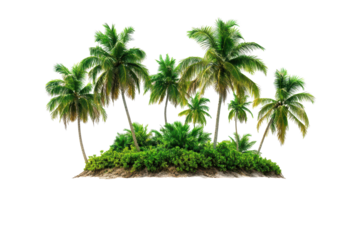 Tropical island with lush palm trees surrounded by clear blue water invites relaxation during summer holiday adventures