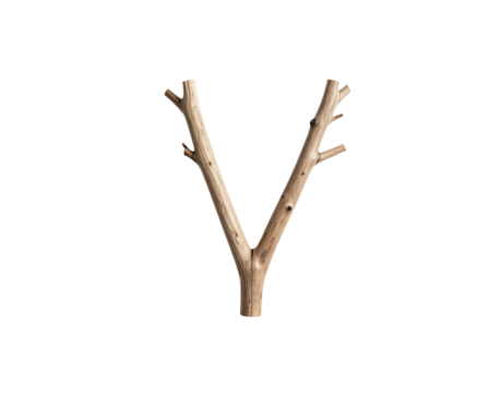 Upwardpointing forked branch with textured bark and small protruding twigs