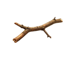Weathered twig with textured bark and broken ends isolated on transparent background