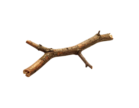 Weathered twig with textured bark and broken ends isolated on transparent background