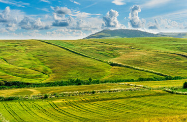 Fototapeta premium amazing golden summer landscape of beautiful golden wheaten field with scenic farmland view to picturesque hills and colorful sunset cloudy sky on background