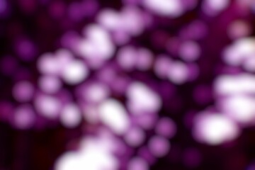 Abstract Blurred Background with Light Purple and Dark Purple Shades