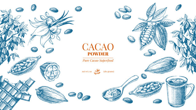 Hand drawn sketch cocoa chocolate product background. Vintage vector illustration of natural healthy food. Packaging design of cacao powder