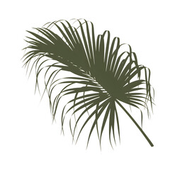 Obraz premium Palm leaf silhouette with sketchy edge, transparent background.