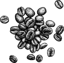 Ink sketch of a small pile of coffee beans.