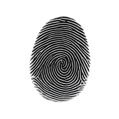 A highly detailed close-up shot of a fingerprint, emphasizing the intricate patterns and unique ridges of this human identifier.