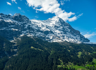 The snow-covered peak of the Eiger rises majestically above the dense alpine forest near...
