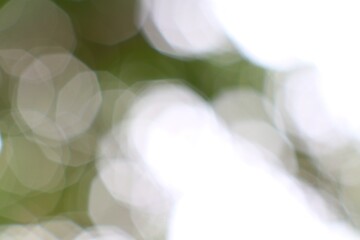Dreamy abstract green and white bokeh effect lights from nature