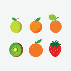 Set of Winter Seasonal Fruits Vector  Design