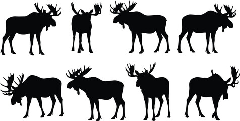 Moose silhouettes collection in various standing and walking poses, wild animal vector illustration, black elk design, forest mammal shapes, hunting clipart set for decoration use