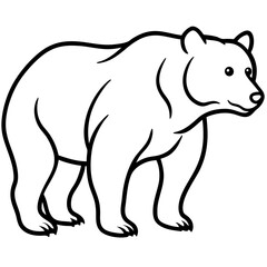 Grizzly Graph line art vector 