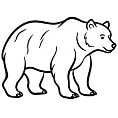 Grizzly Graph line art vector 