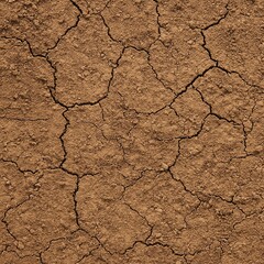 dry soil texture