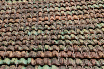 A roof with a green and brown color