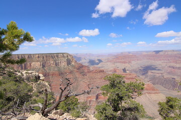 grand canyon arizona usa