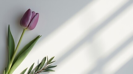 Mauve tulip with olive branch on gray canvas, soft minimalist floral layout with clean 16:9 format for branding.
