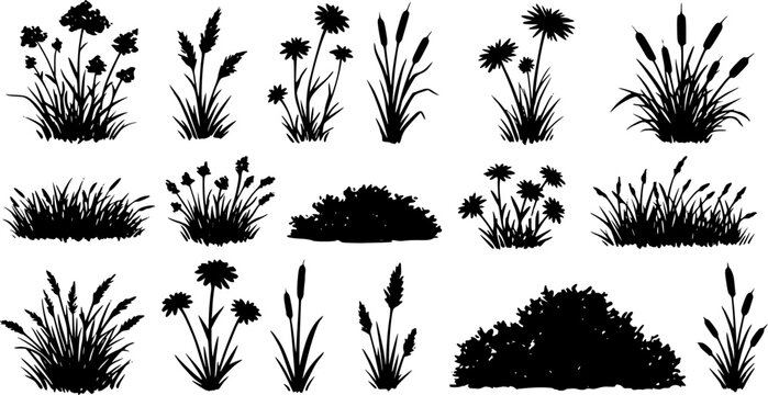 Charcoal doodle scribble in showcasing grass silhouettes wildflower meadow plants cattail reeds bushes a botanical illustration for nature landscape garden decorations PNG transparent background