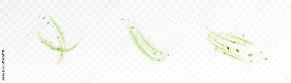 Poster swirling green light trails with floating leaves on transparent background. eco-inspired dynamic ele