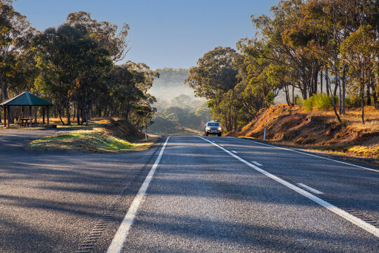 A quiet country road stretches through the Australian countryside, flanked by towering eucalyptus - Powered by Adobe