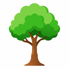 Minimal Tree Vector on White