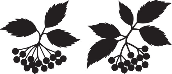 Obraz premium Black Silhouettes of Viburnum Branches with Berries and Leaves